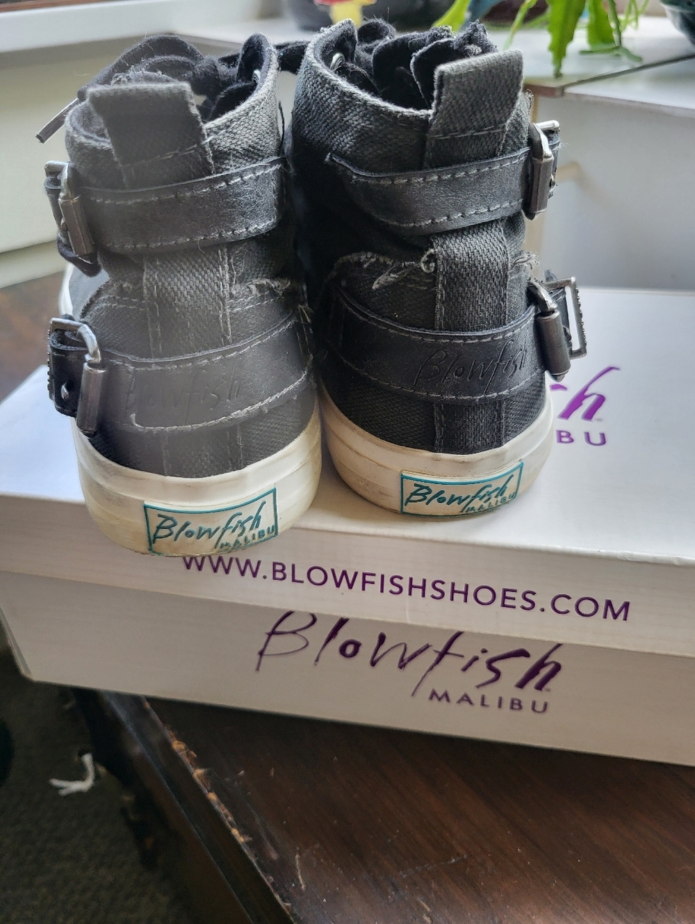 Blowfish Charcoal MOXIE High-Top Canvas Sneakers - Picture 3 of 5